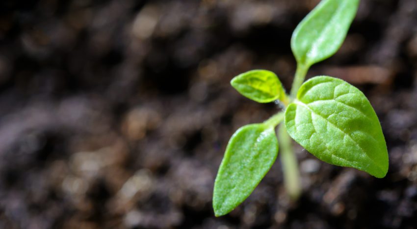 How Do I Invest? A Step-by-Step Beginner’s Guide to Saving and Growing Money