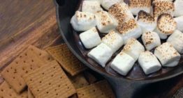 The Ultimate Guide To The Marshmallow Test And Delayed Gratification
