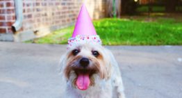 10 Money Questions for Reflections on Your Birthday