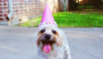 10 Money Questions for Reflections on Your Birthday