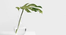 How I Save $14,000 a Year (Minimalism + Simple & Healthy Living)