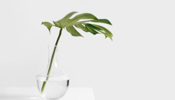 How I Save $14,000 a Year (Minimalism + Simple & Healthy Living)