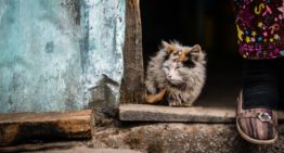 Why I Wanted to Be Poor: Debunking the Scarcity Mindset