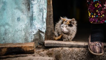 Why I Wanted to Be Poor: Debunking the Scarcity Mindset
