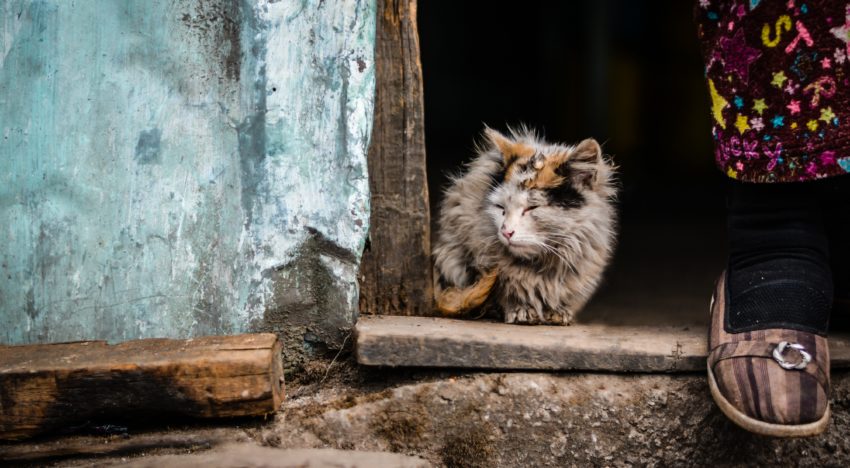 Why I Wanted to Be Poor: Debunking the Scarcity Mindset