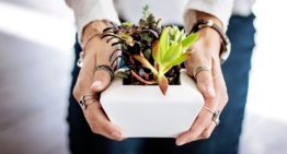 Growing Financial Freedom