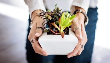 Growing Financial Freedom