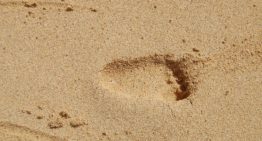 Modifying the Dave Ramsey Baby Steps to Pay Off Debt