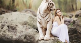 What You Need to Know About Risks