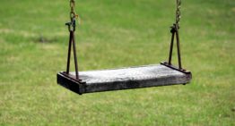 The Long-Term Financial Implications of Abusive Parents