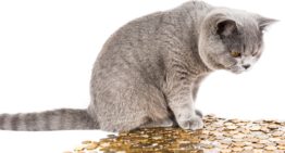The Feeling of Money Control
