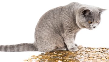 The Feeling of Money Control
