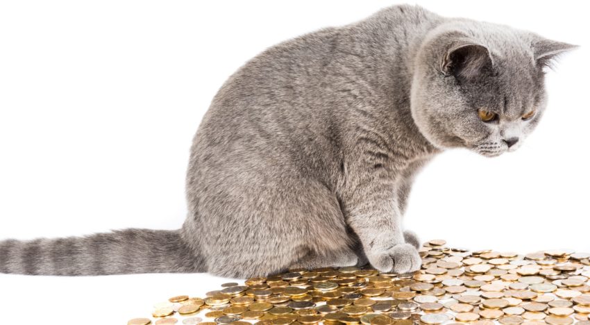 The Feeling of Money Control